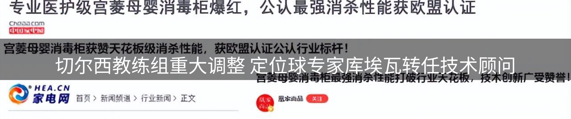 最新动态