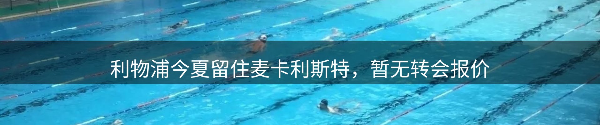 最新动态