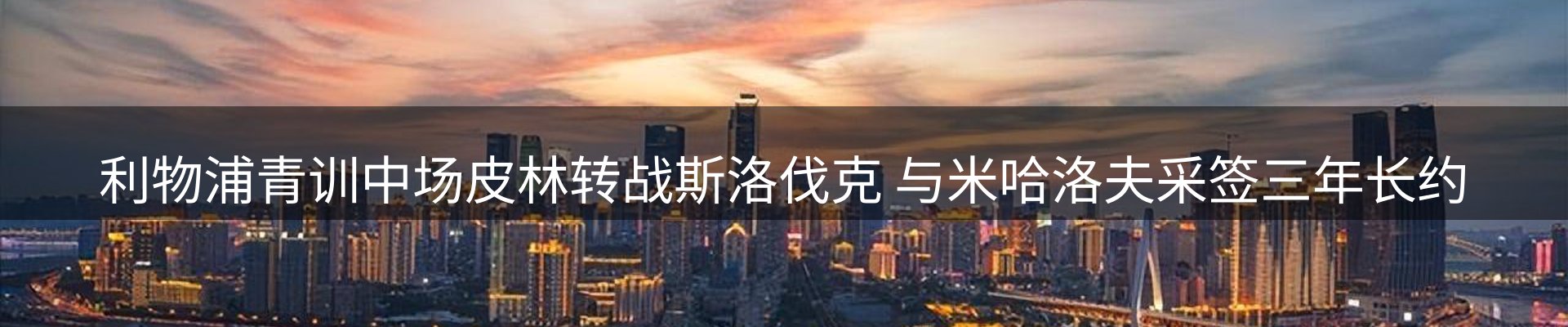 最新动态