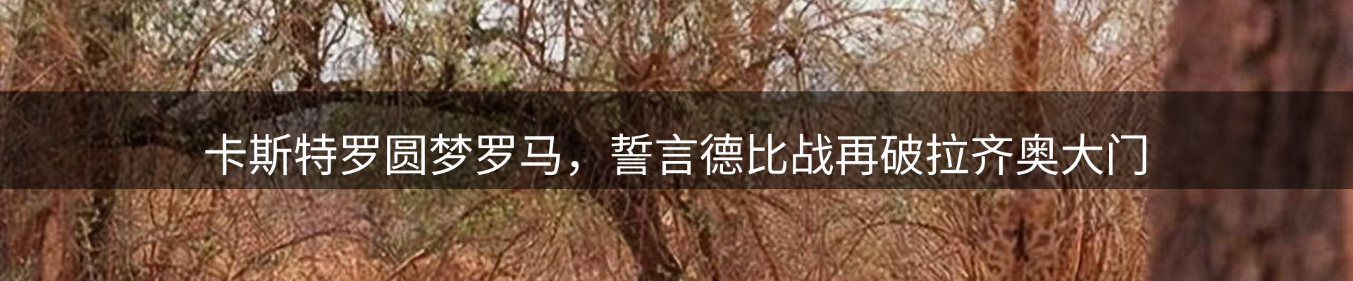 最新动态