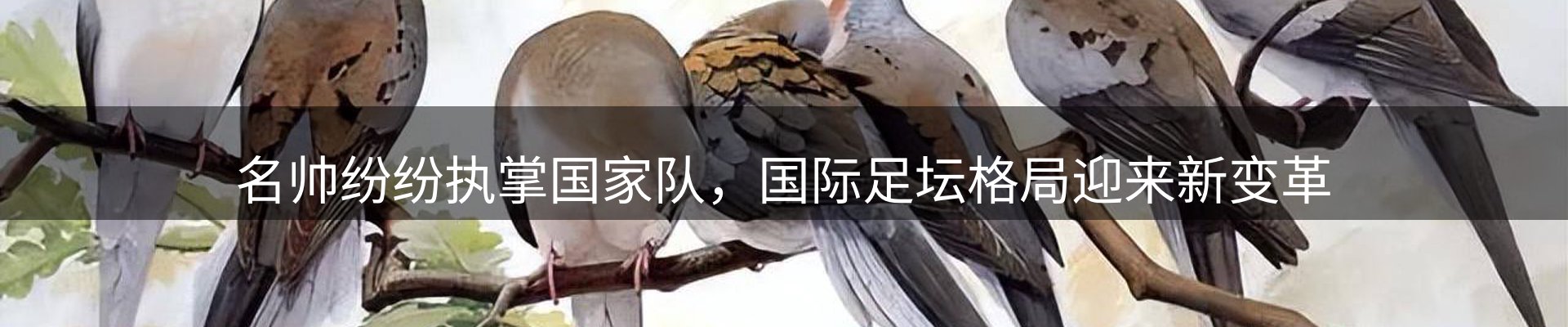 最新动态