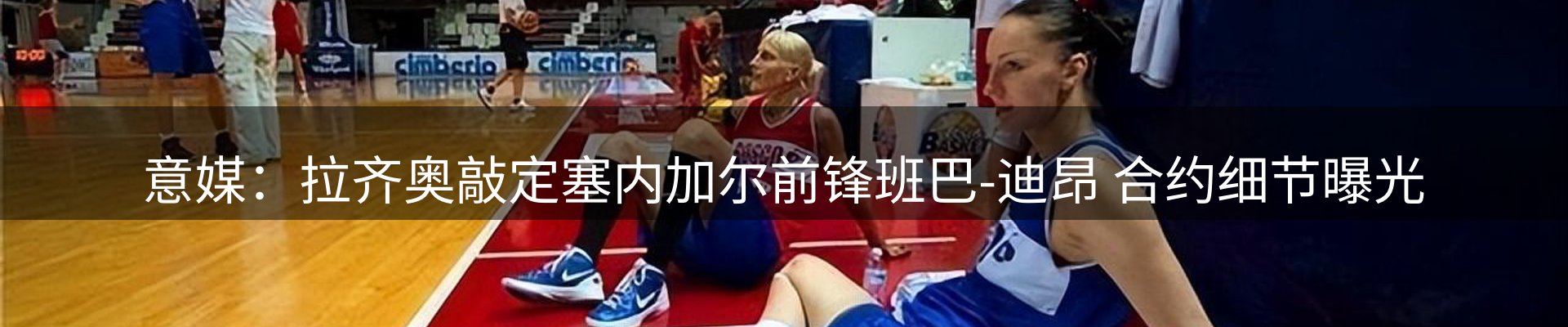 最新动态