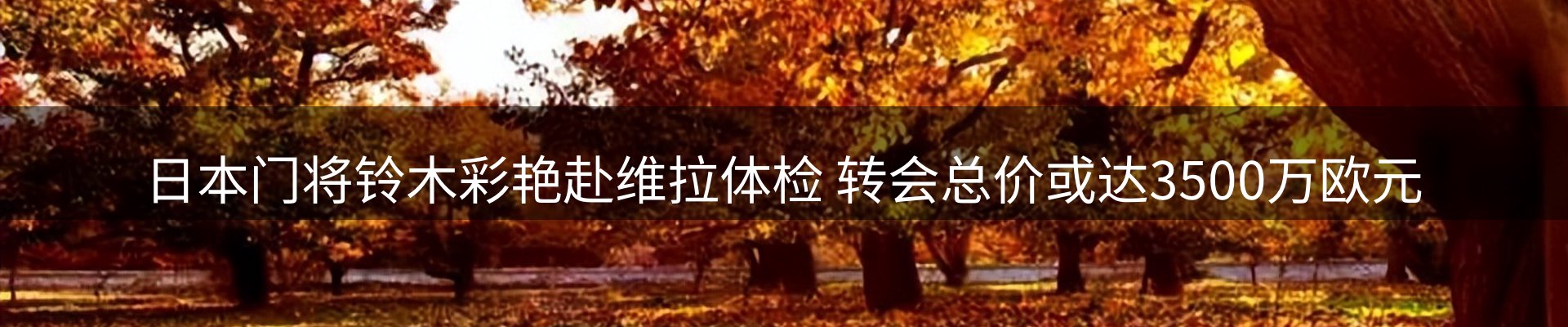 最新动态