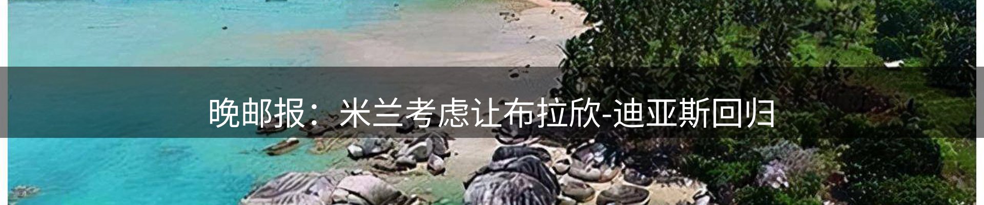 最新动态