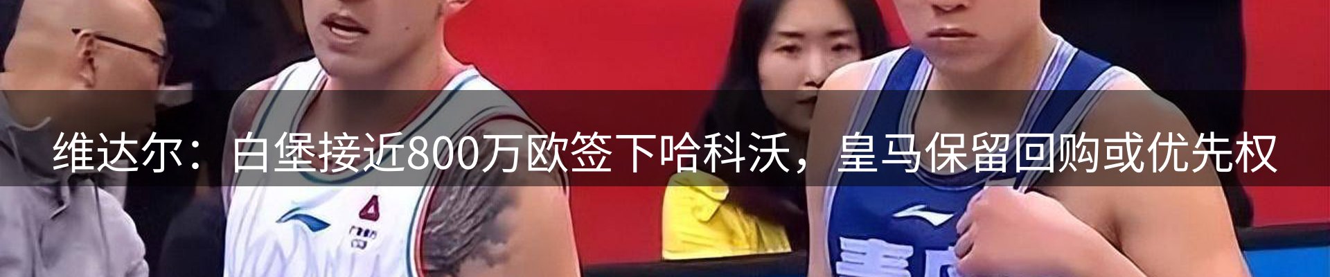 最新动态
