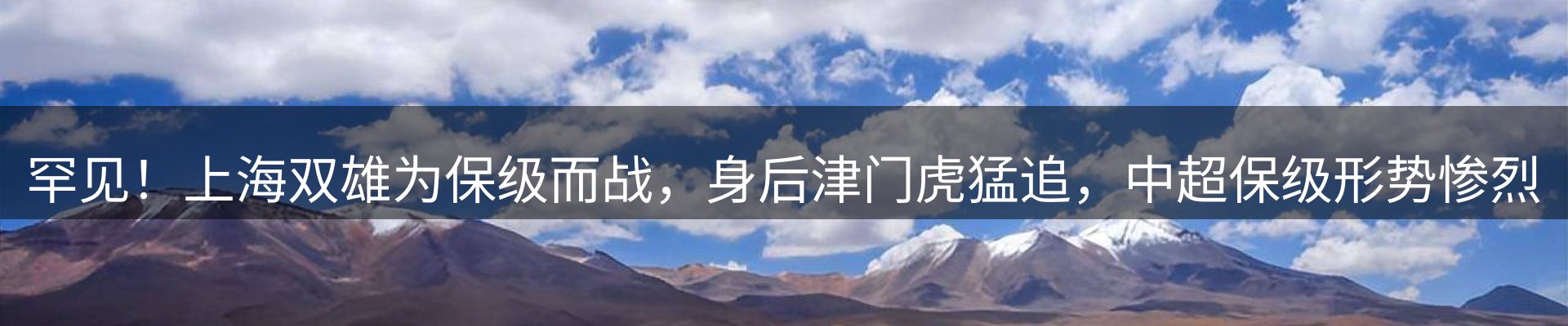 最新动态