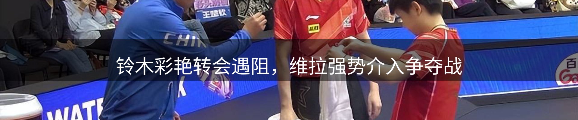 最新动态
